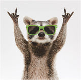 Rockin' Raccoon birthday greeting card for him from UK Greetings, featuring a playful raccoon design and festive elements.