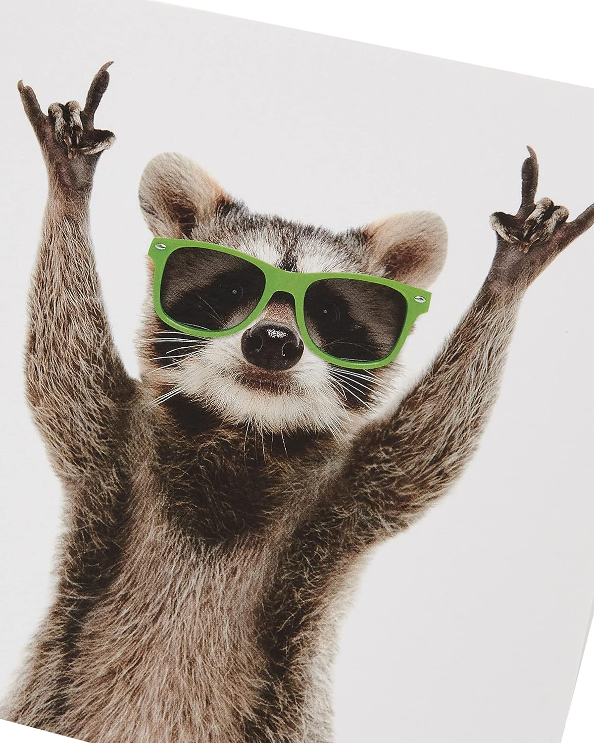 Rockin' Raccoon birthday greeting card for him by UK Greetings, featuring a colorful raccoon illustration and festive design.