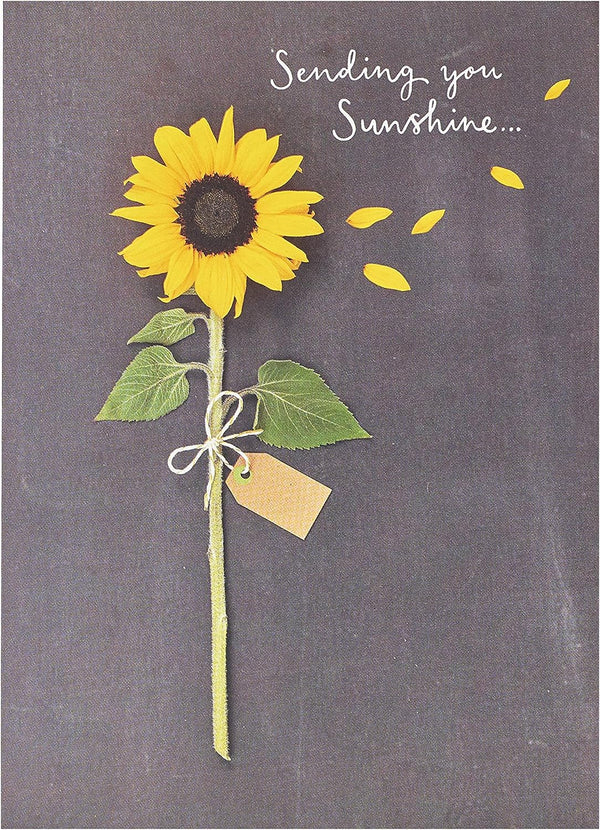 Sending You Sunshine sunflower design greeting card by UK Greetings featuring bright sunflower illustration on white background.