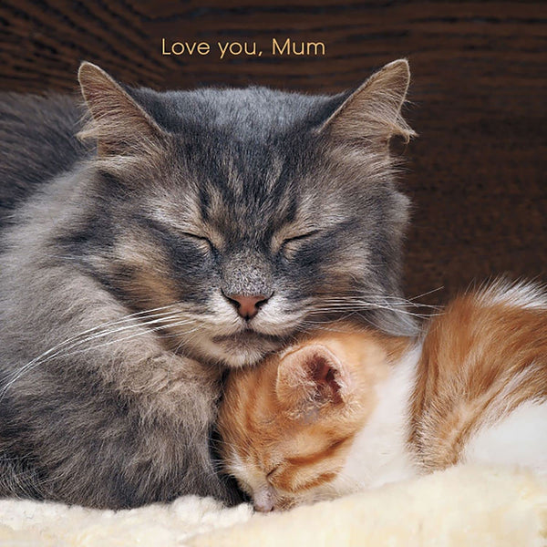 Sleepy cat and kitten Mothers Day greeting card featuring adorable feline illustrations, by UK Greetings.