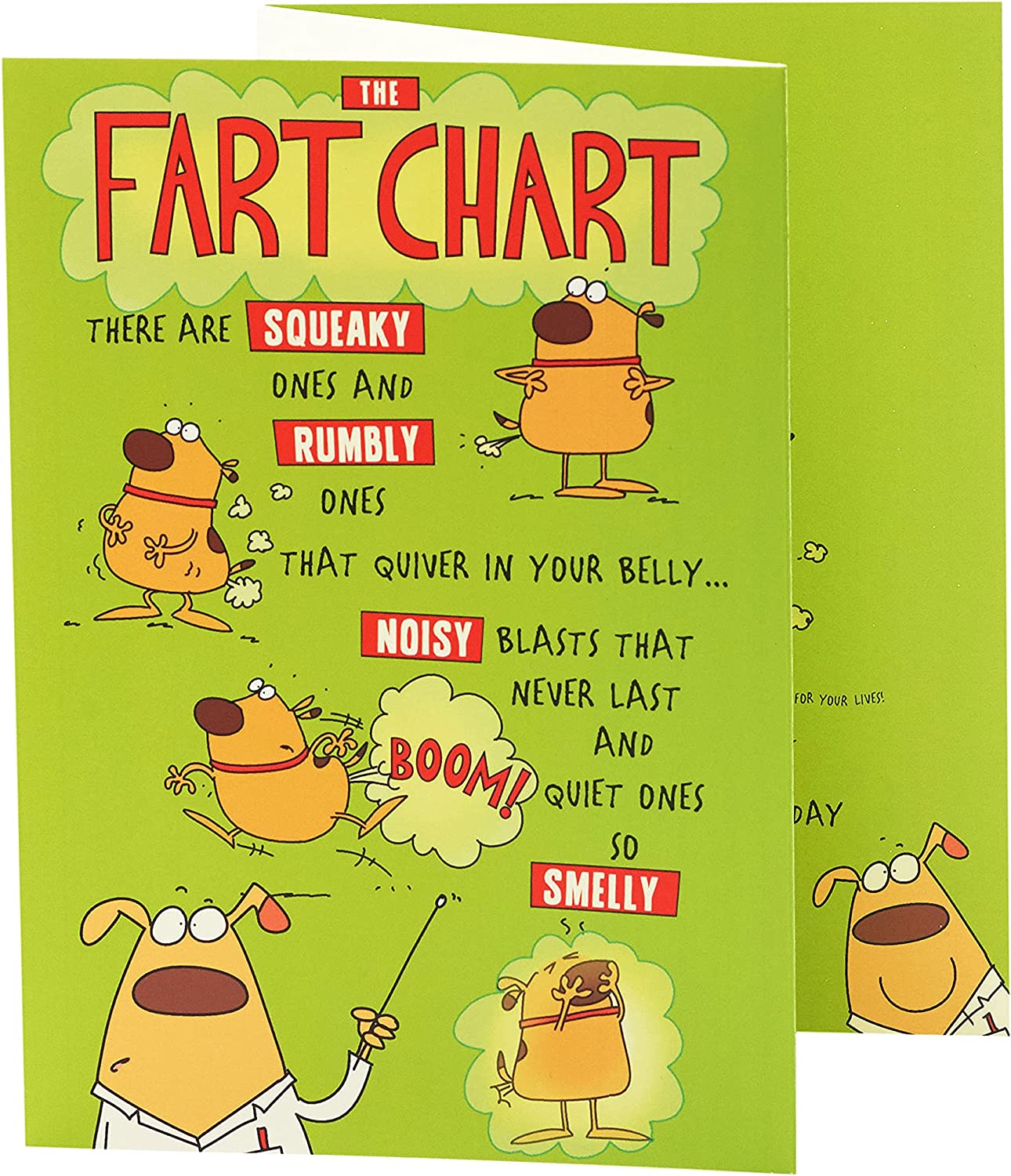 Funny tri-fold birthday greeting card featuring a humorous fart chart design by UK Greetings