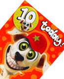 Wacky dog design 10th birthday greeting card with badge from UK Greetings, featuring colorful cartoon dog illustration.