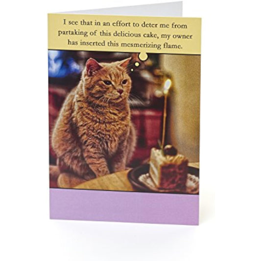 Zero Gravity Cat birthday greeting card from UK Greetings featuring a humorous feline design on a colorful background.