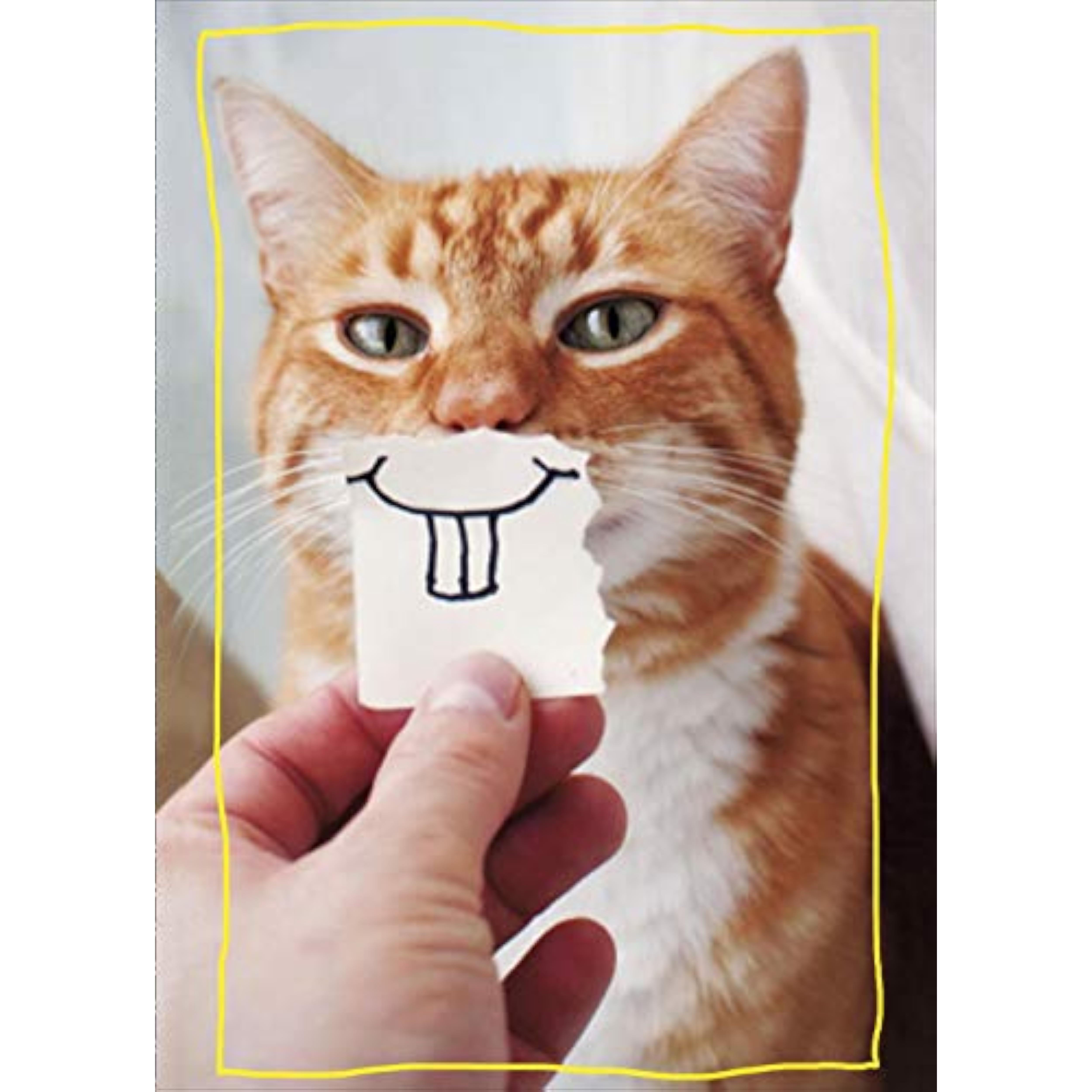 UKG Goofy Cat birthday greeting card featuring a big smiling cartoon cat with humorous birthday wishes.