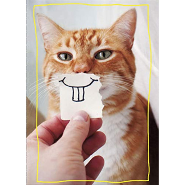 UKG Goofy Cat birthday greeting card featuring a big smiling cartoon cat with humorous birthday wishes.
